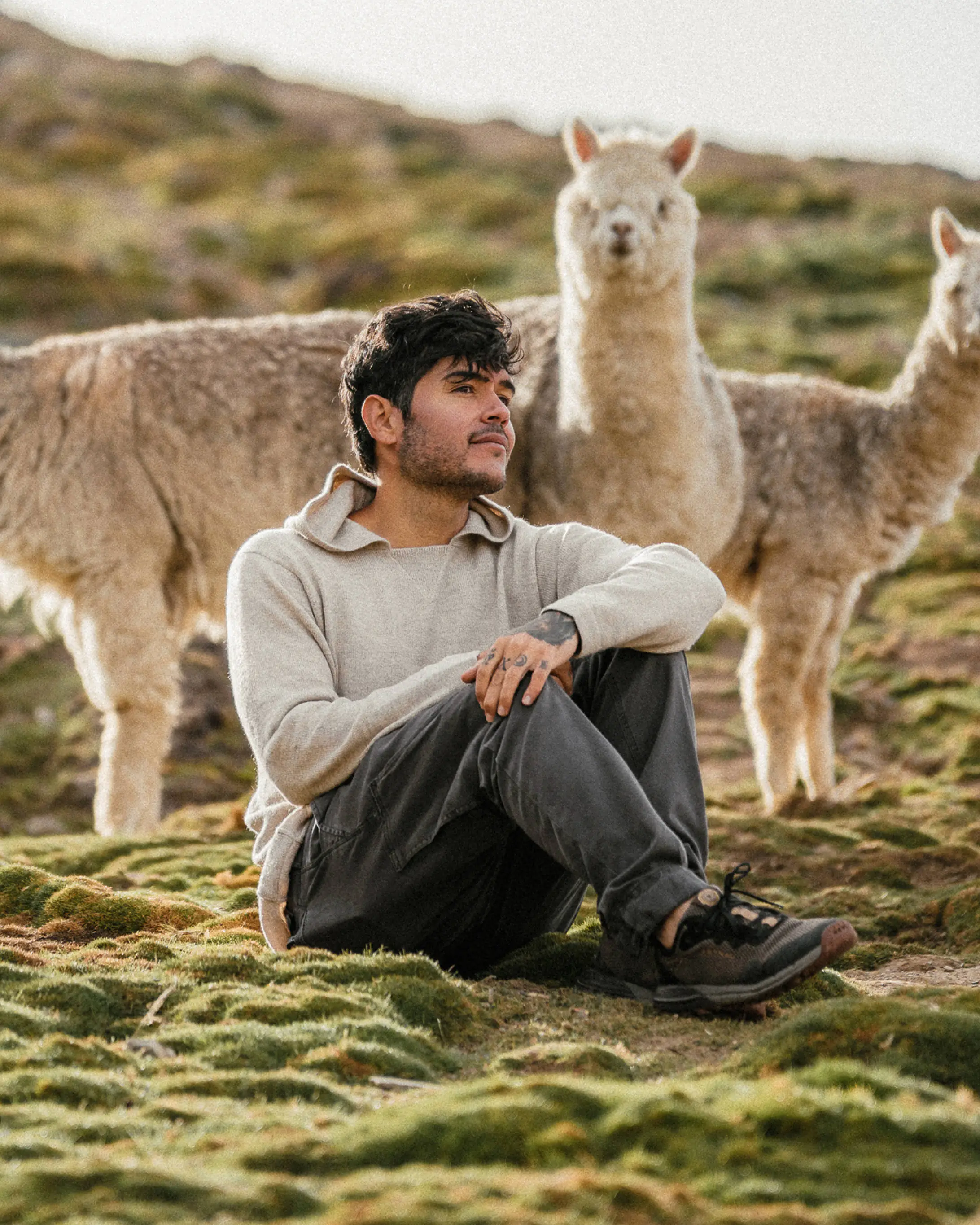 The Hoodie - Image 18