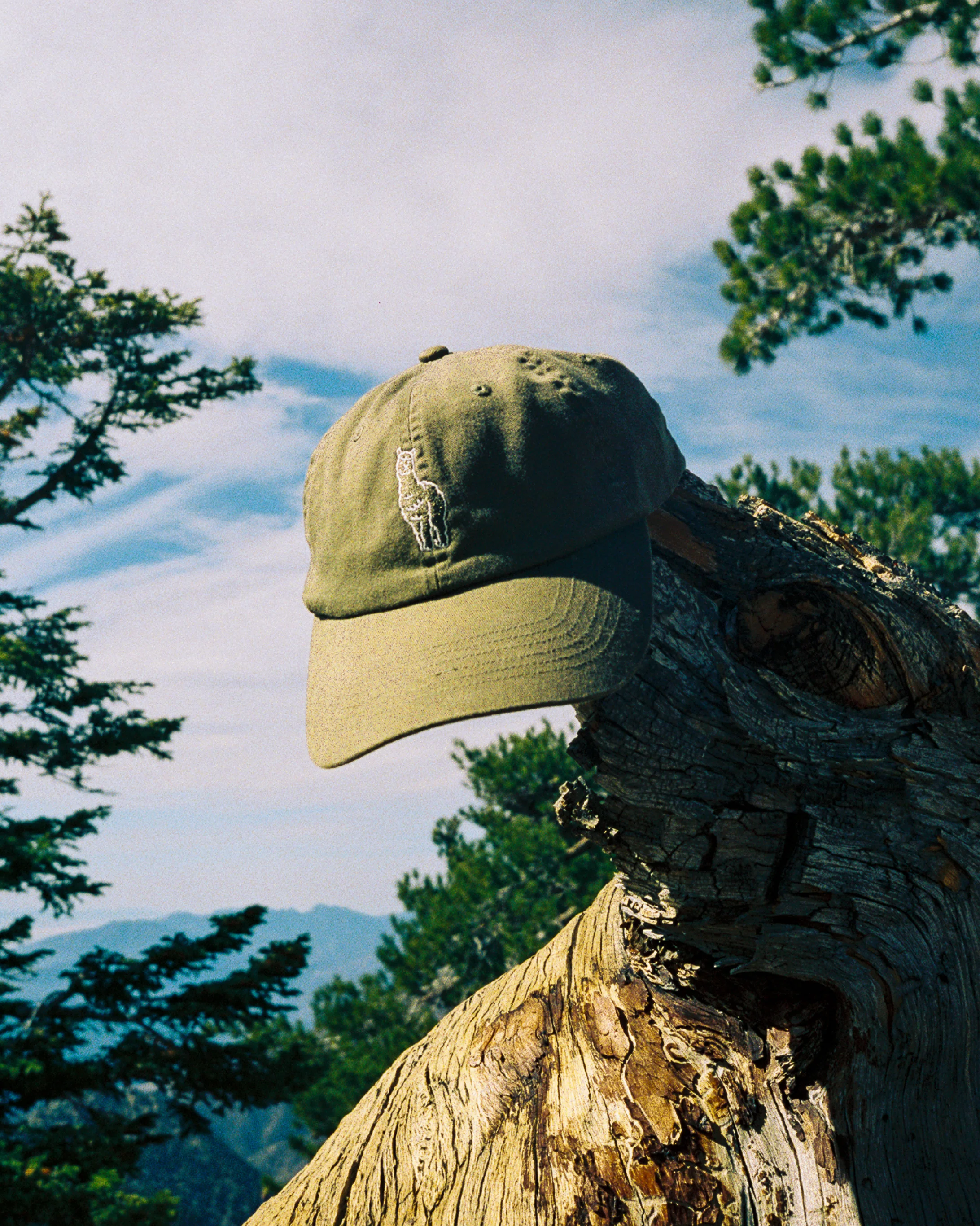 Sebastian Hat - Image 3