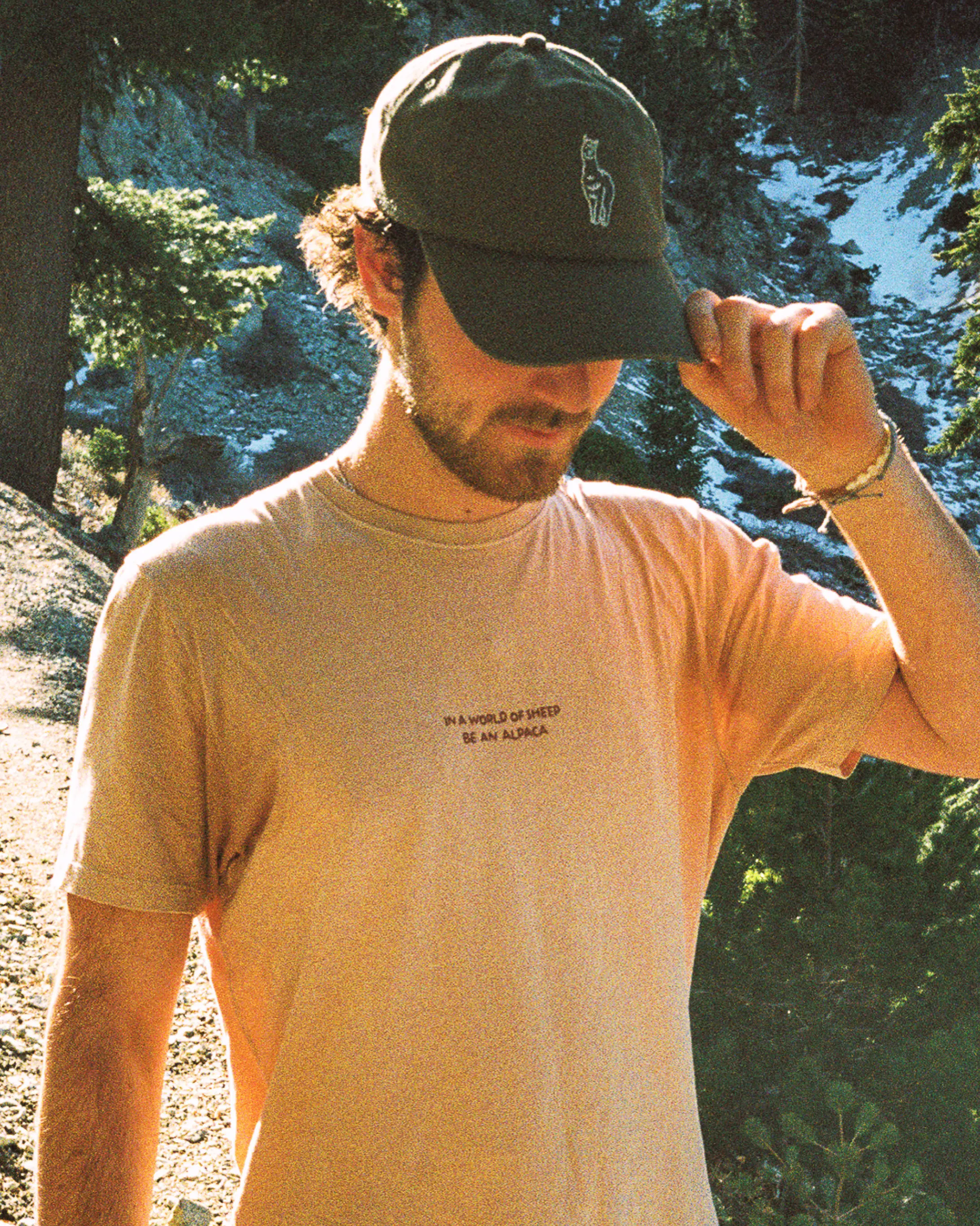Sebastian Hat - Image 7
