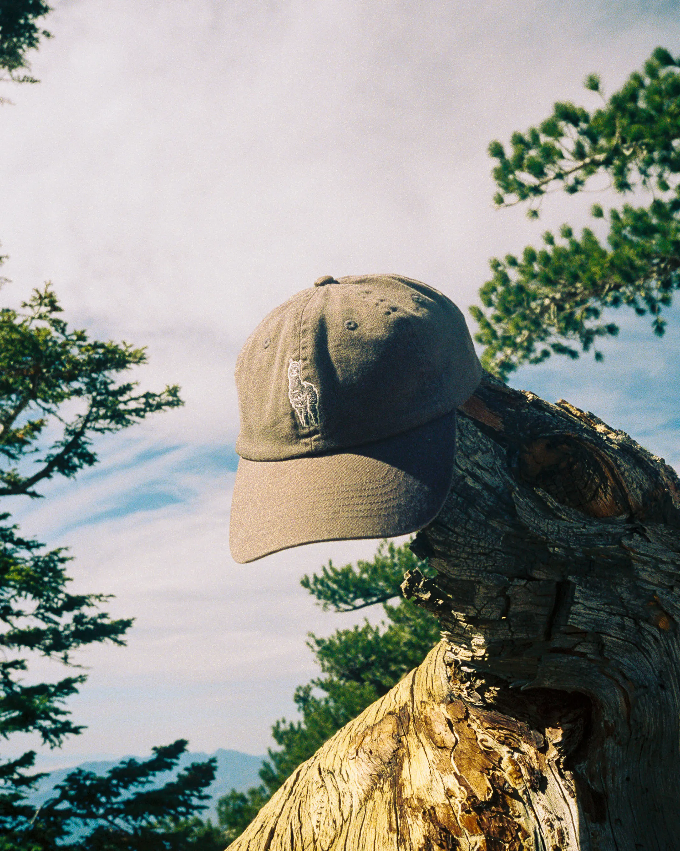 Sebastian Hat - Image 8